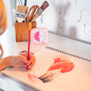 60 minute visual Timer - Time Timer MOD® - Home Edition Peony Pink